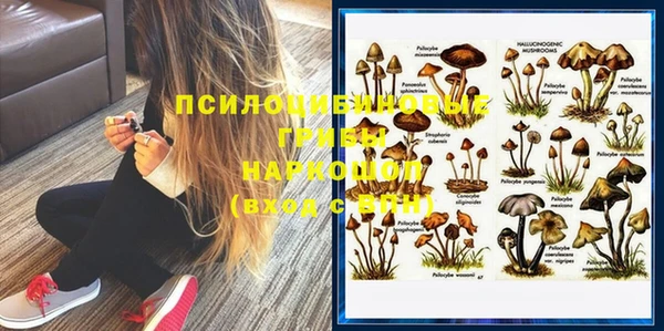 молекула духа Белокуриха