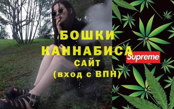 молекула духа Белокуриха