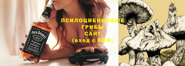 соль ск Бородино